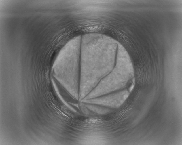 X0000052930745200508050829