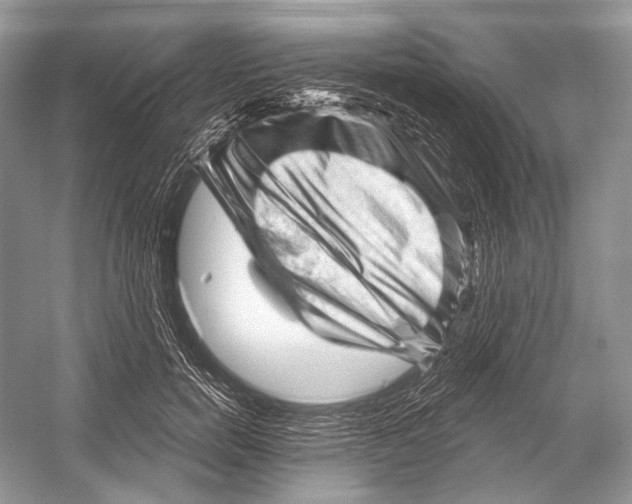 X0000052930750200508050829