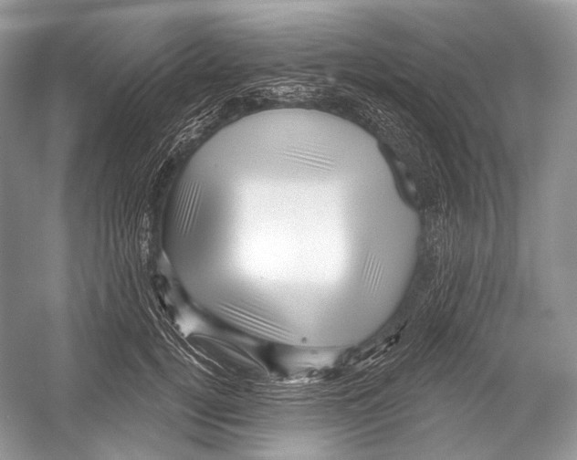 X0000052930752200508050829