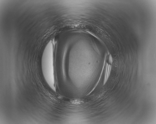 X0000052930754200508050829
