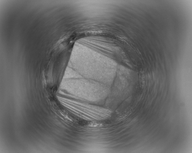 X0000052930760200508050829