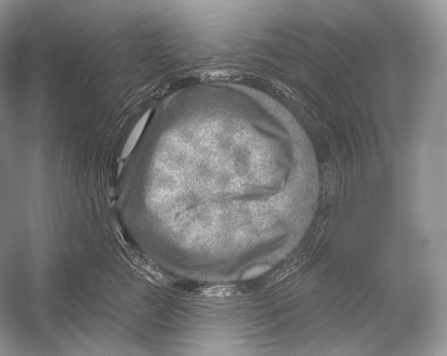 X0000052930761200508050829