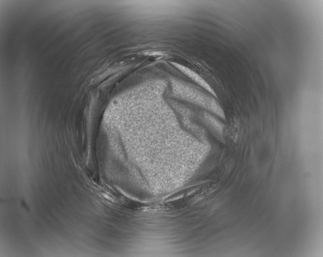 X0000052930763200508050829