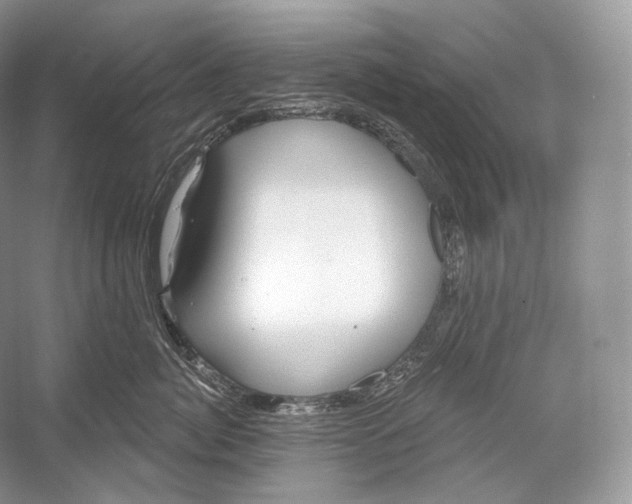 X0000052930764200508050829