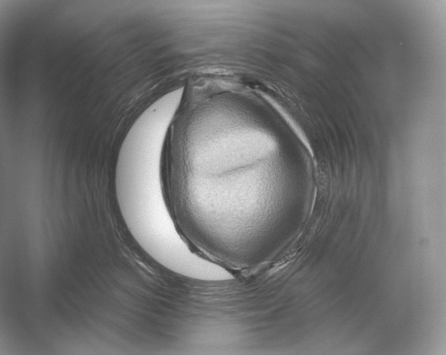 X0000052930766200508050829