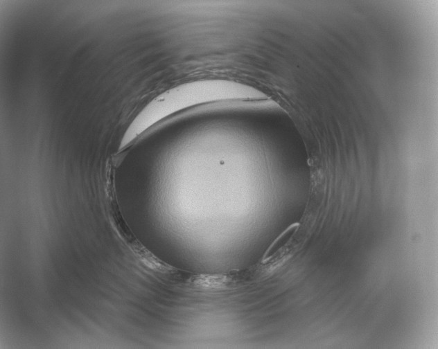 X0000052930767200508050829