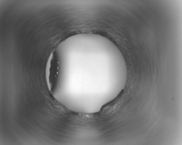 X0000052930768200508050829