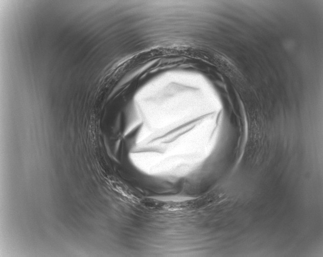 X0000052930773200508050828