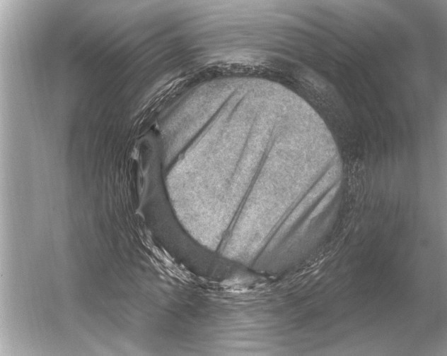 X0000052930774200508050828