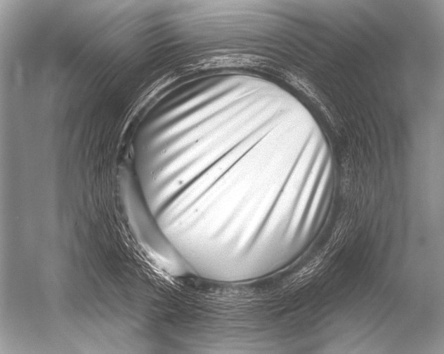 X0000052930786200508050828