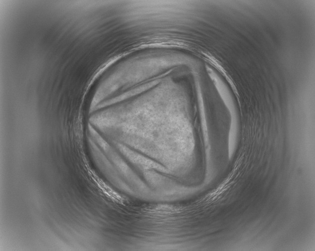 X0000052930787200508050828