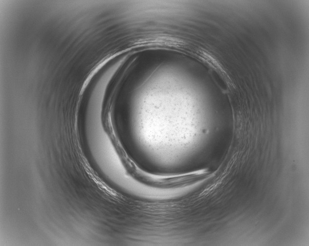 X0000052930788200508050828