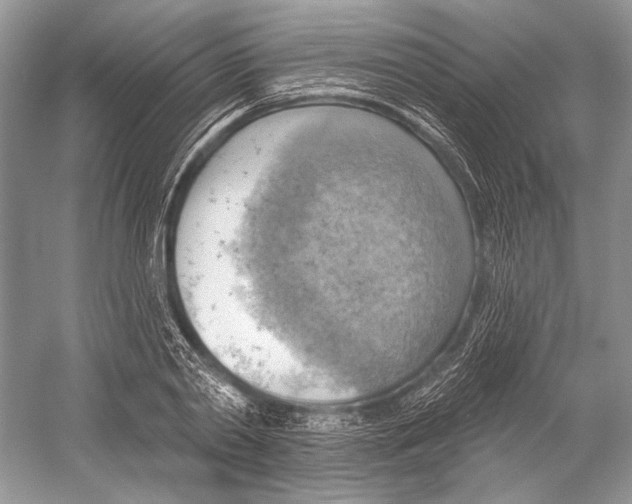X0000052930790200508050828