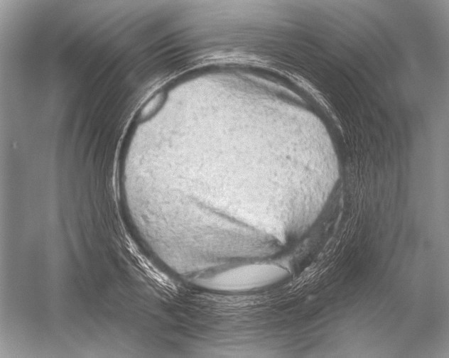 X0000052930791200508050828