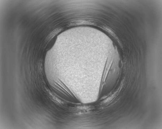 X0000052930793200508050828