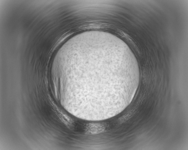 X0000052930794200508050828