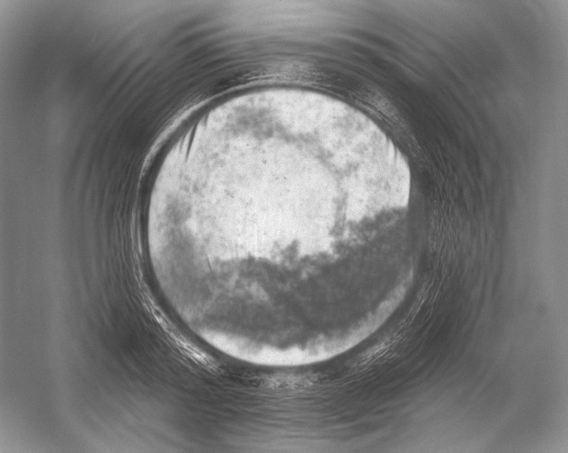 X0000052930796200508050828