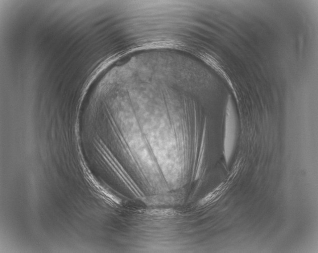 X0000052930797200508050828