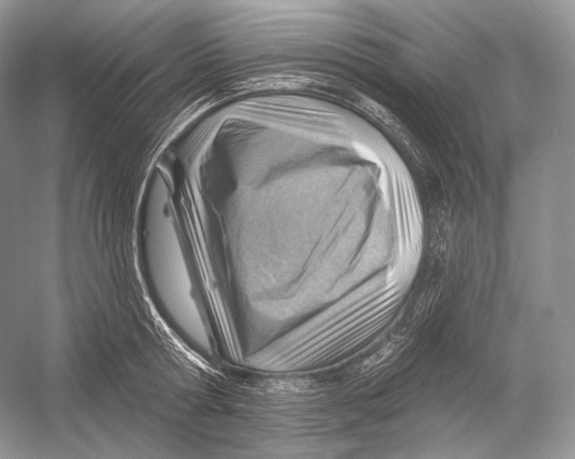 X0000052930802200508050828