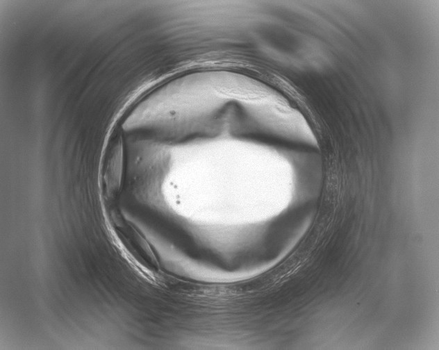 X0000052930803200508050828