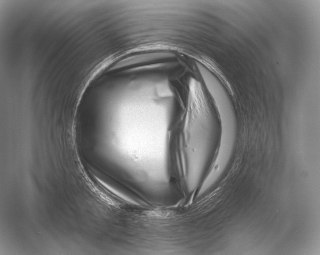 X0000052930805200508050828
