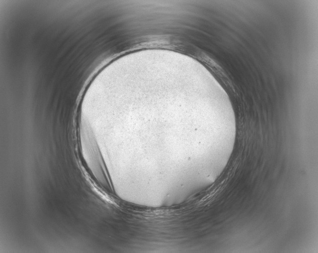 X0000052930808200508050828