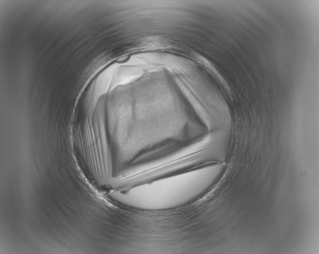X0000052930810200508050828