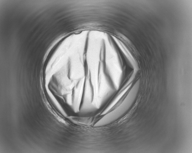 X0000052930812200508050828