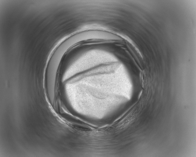 X0000052930815200508050828