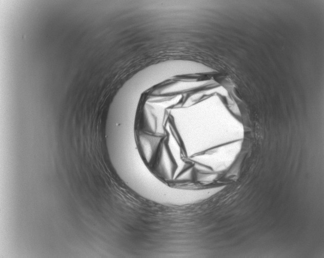 X0000052930818200508050827