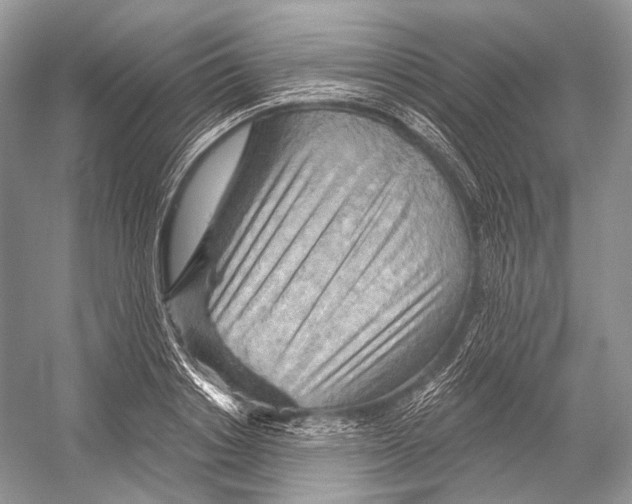 X0000052930842200508050827