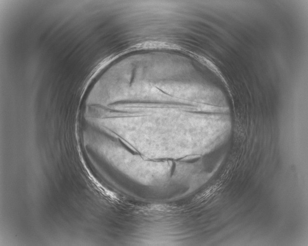 X0000052930847200508050827