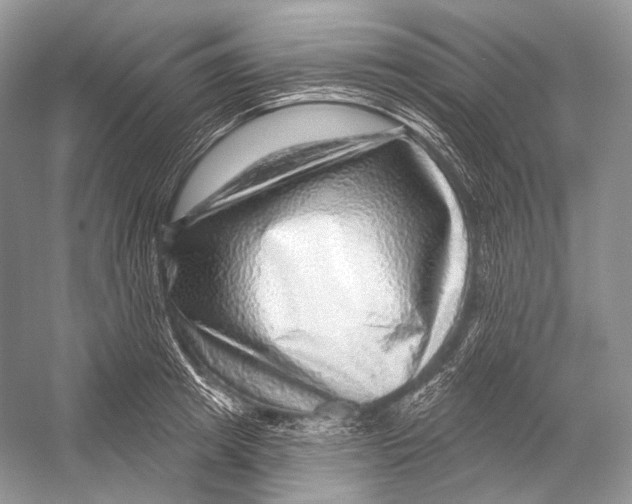 X0000052930849200508050827