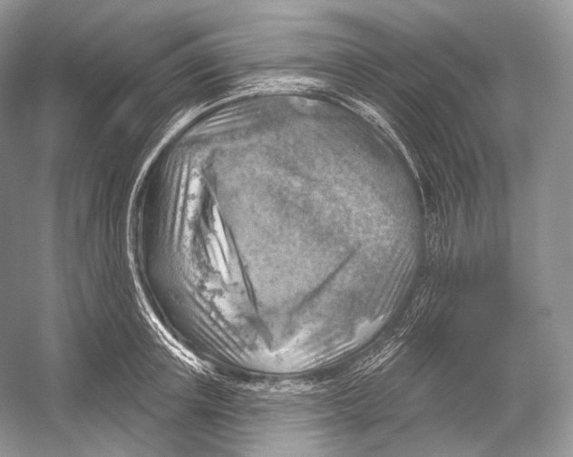 X0000052930851200508050827