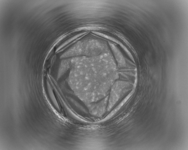 X0000052930853200508050827
