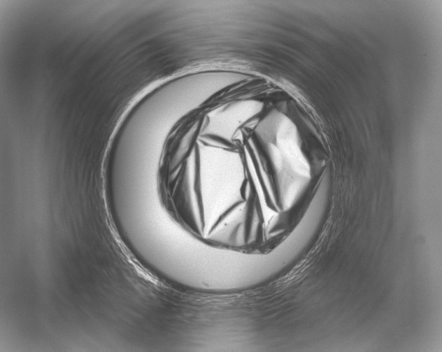X0000052930854200508050827