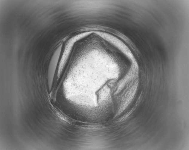 X0000052930857200508050828