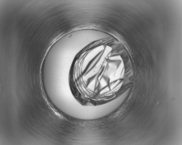 X0000052930858200508050828