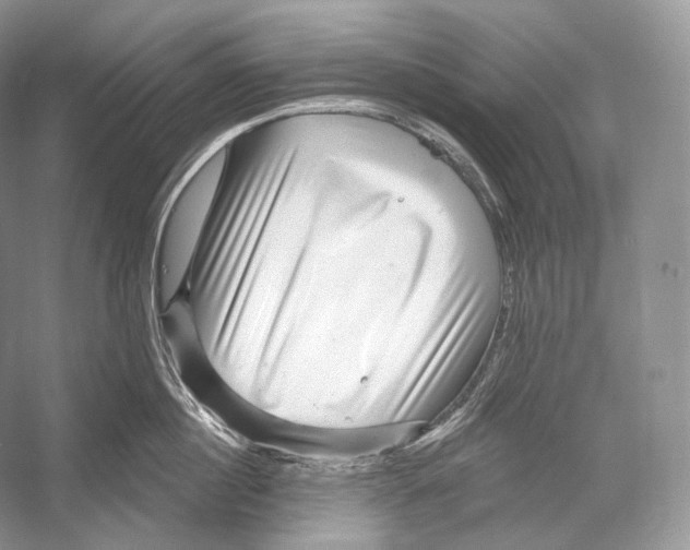 X0000052930860200508050828