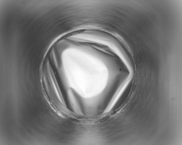 X0000052930862200508050828