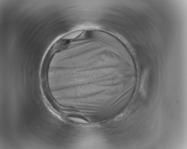 X0000052930864200508050828