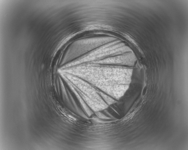 X0000052930877200508050827