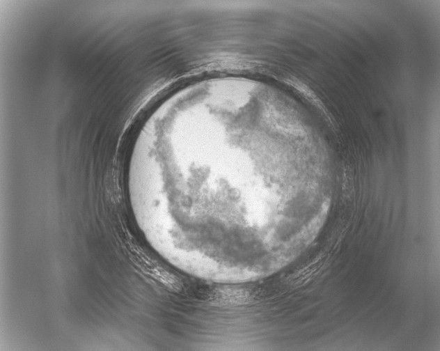 X0000052930878200508050827