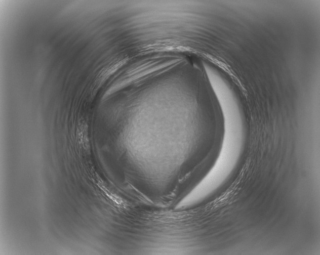 X0000052930881200508050827