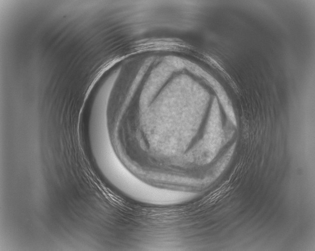 X0000052930883200508050827