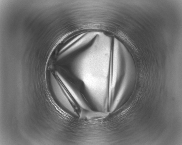 X0000052930884200508050827