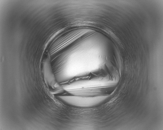 X0000052930885200508050826