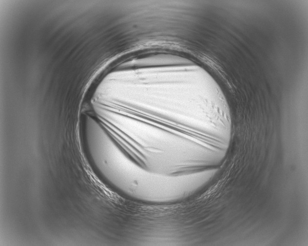 X0000052930888200508050826