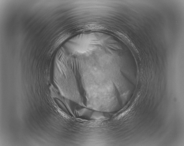 X0000052930889200508050826