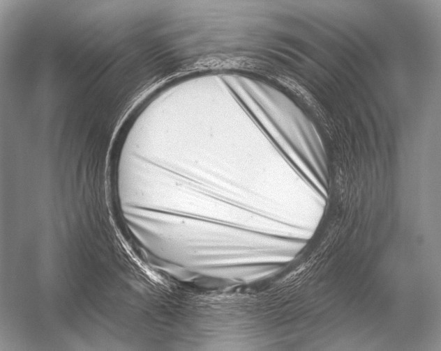 X0000052930894200508050826